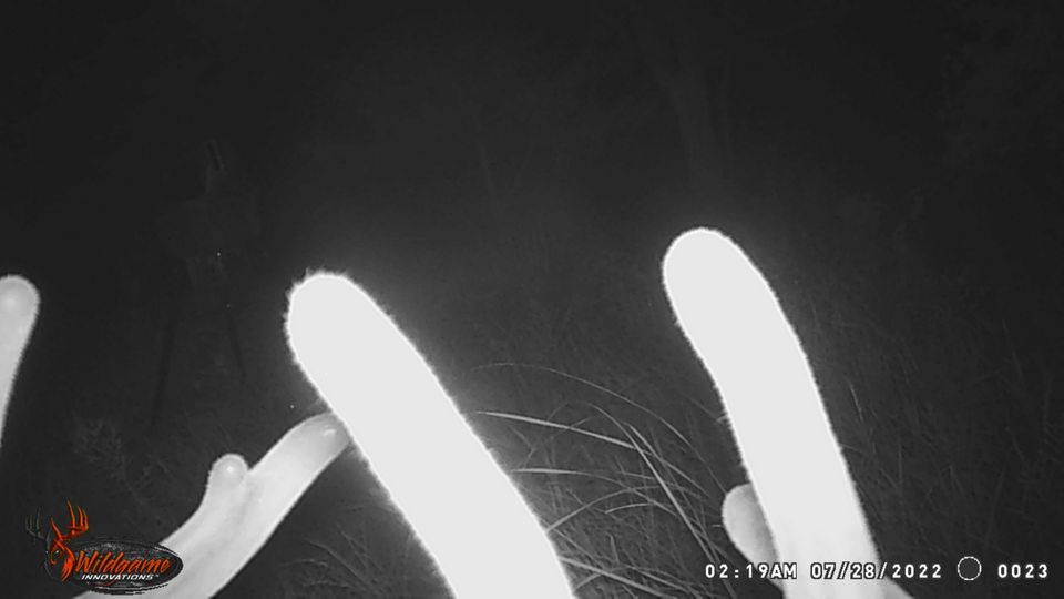 Enlarged photo by BR Outfitters