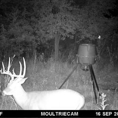 Photo by BR Outfitters