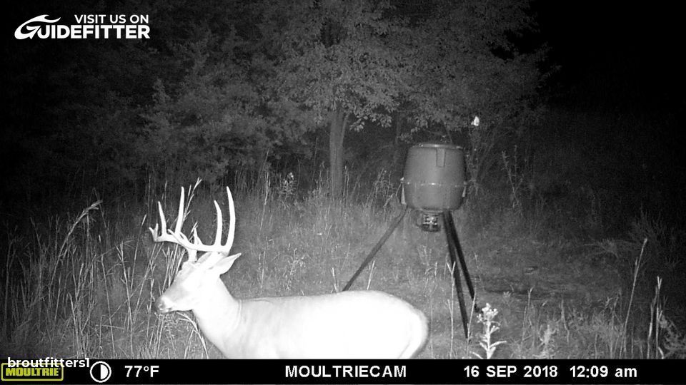 Enlarged photo by BR Outfitters