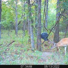 Photo by BR Outfitters