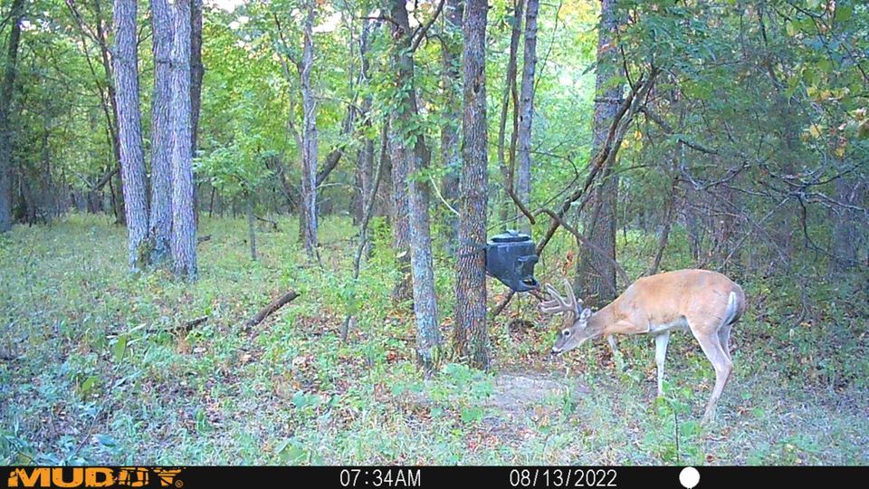 Enlarged photo by BR Outfitters