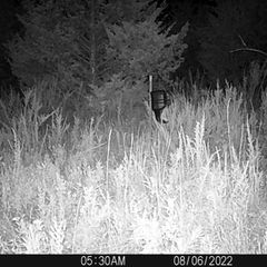 Photo by BR Outfitters