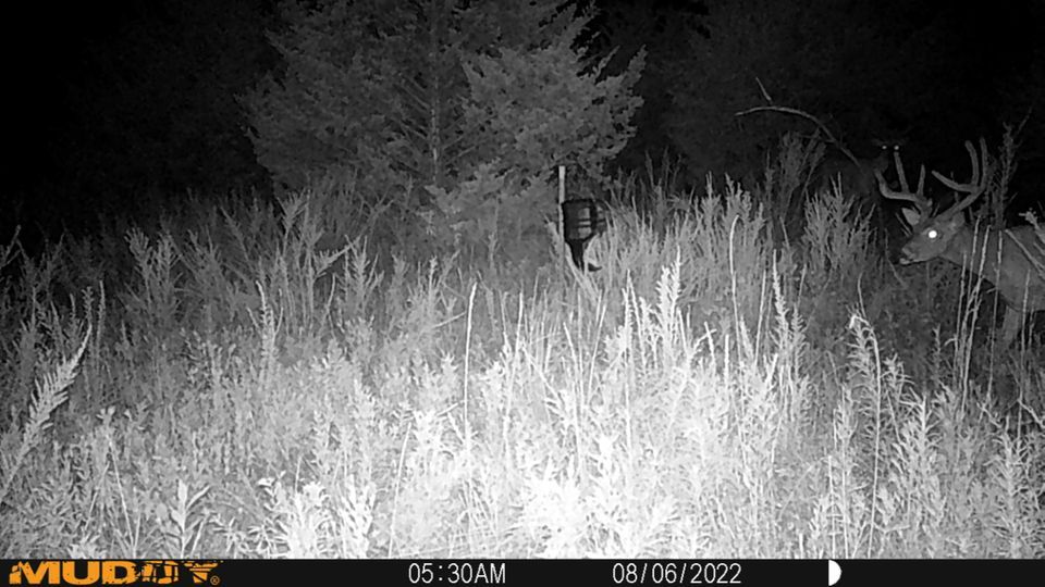 Enlarged photo by BR Outfitters