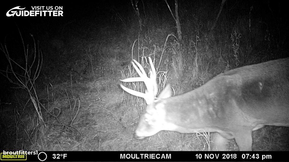 Enlarged photo by BR Outfitters