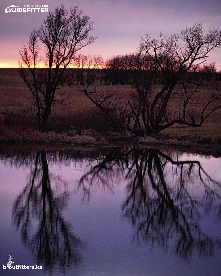 Enlarged photo by BR Outfitters