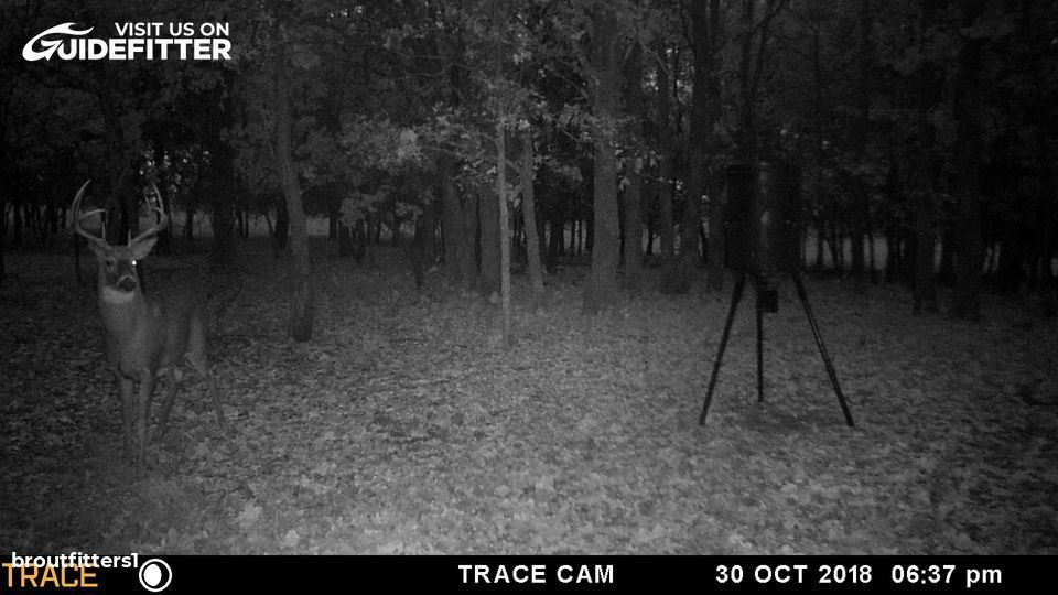 Enlarged photo by BR Outfitters