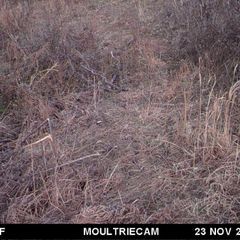 Photo by BR Outfitters