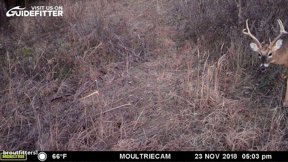 Enlarged photo by BR Outfitters