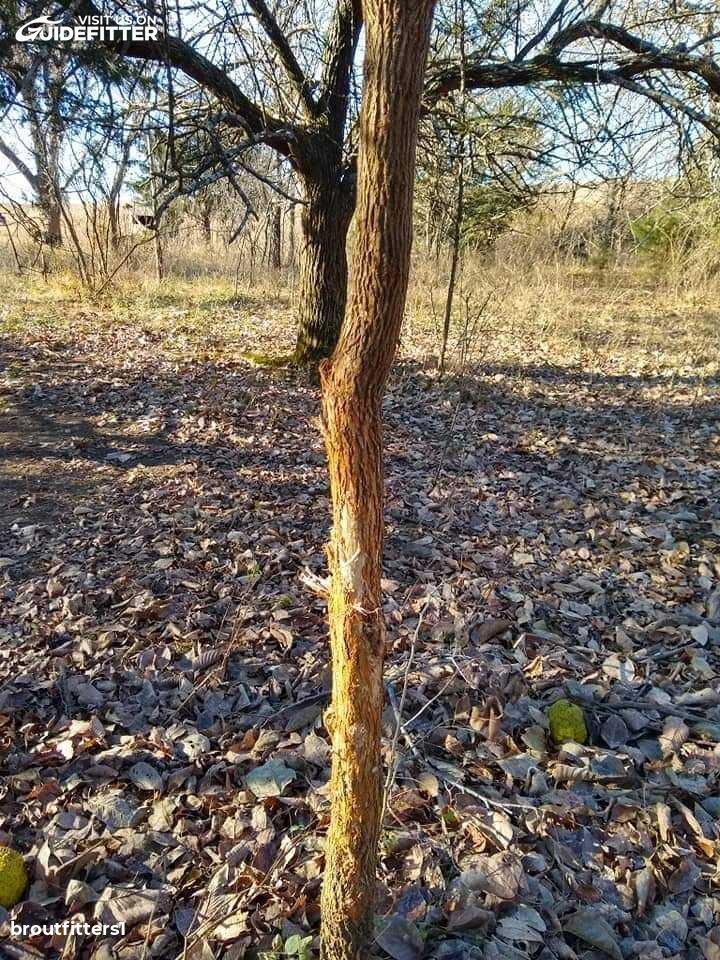 Enlarged photo by BR Outfitters