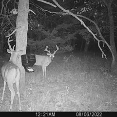 Photo by BR Outfitters