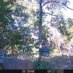 Photo by BR Outfitters