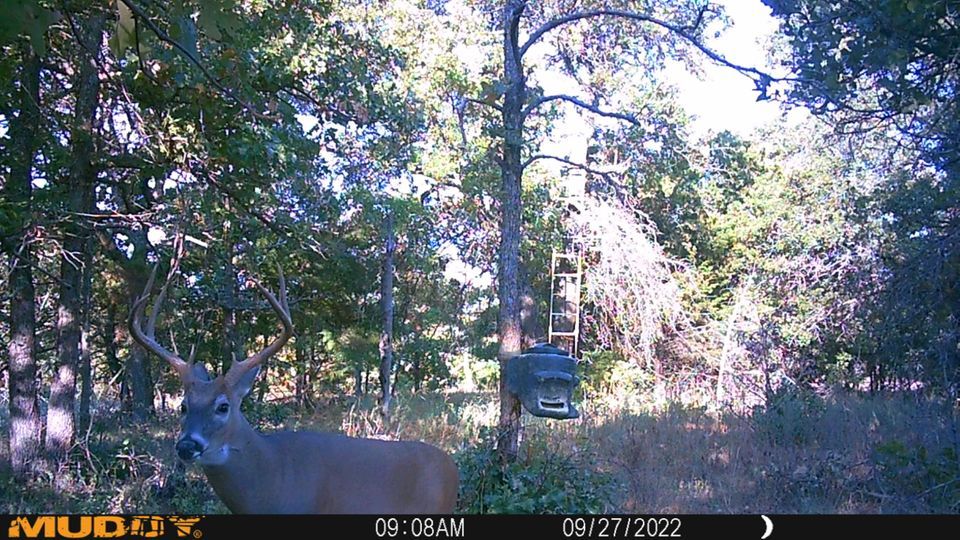 Enlarged photo by BR Outfitters