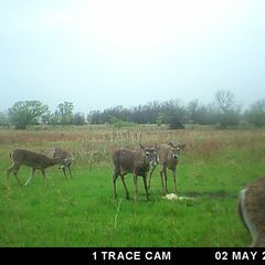 Photo by BR Outfitters