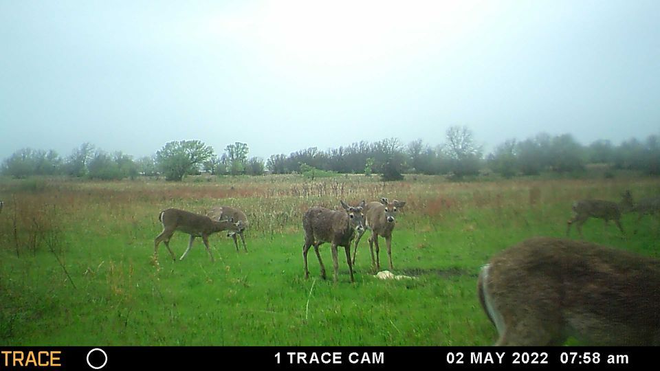 Enlarged photo by BR Outfitters