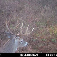 Photo by BR Outfitters