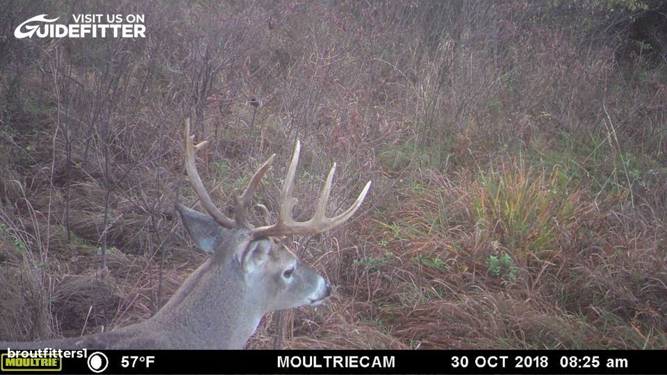 Enlarged photo by BR Outfitters