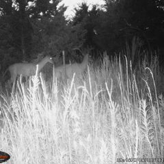 Photo by BR Outfitters