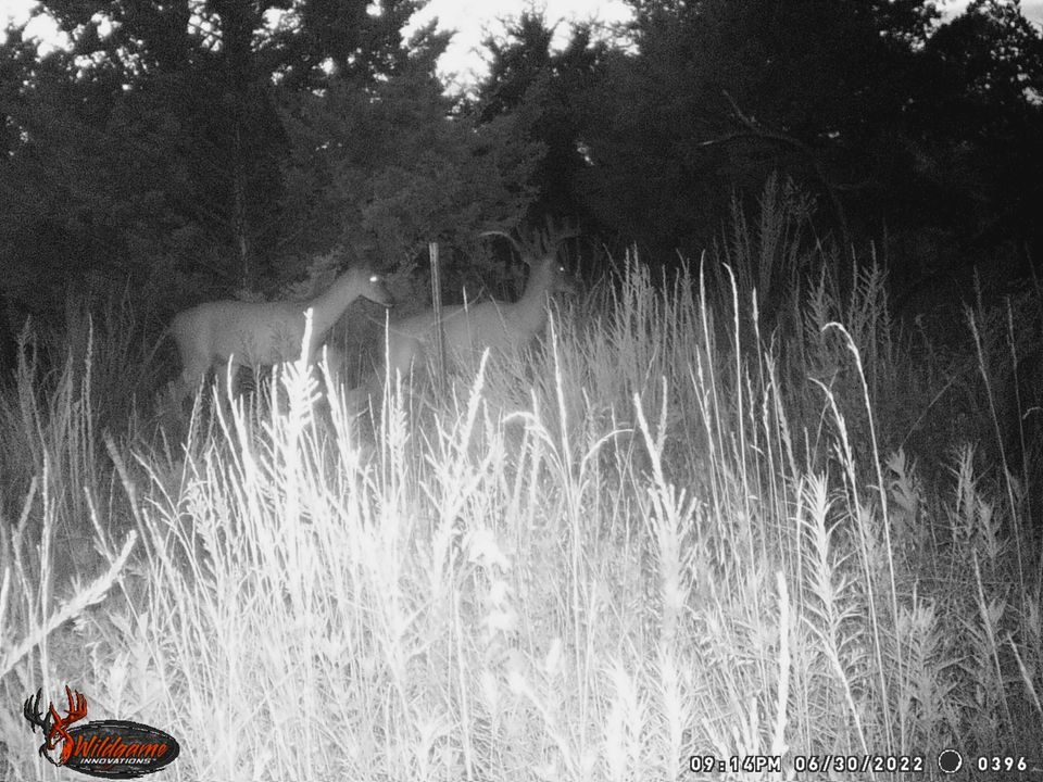 Enlarged photo by BR Outfitters