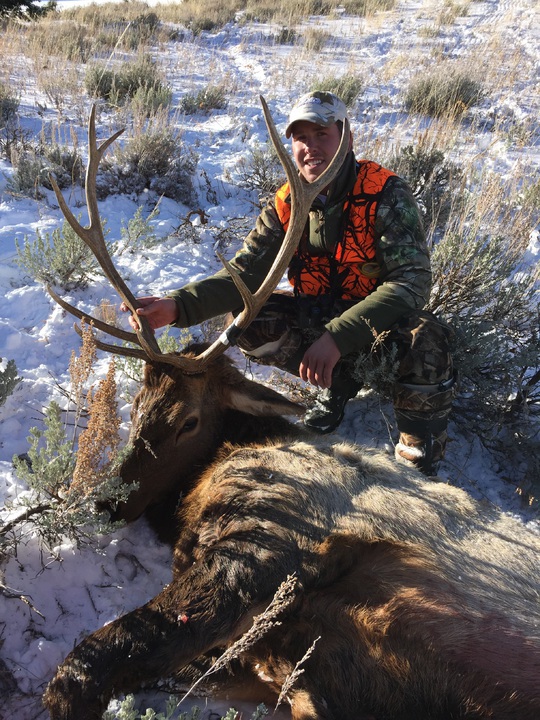 Shane's MT bull Nov23 2014