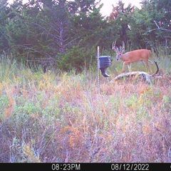 Photo by BR Outfitters