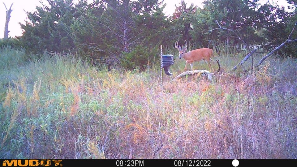 Enlarged photo by BR Outfitters