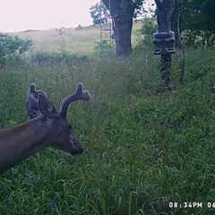 Photo by BR Outfitters