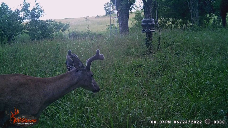 Enlarged photo by BR Outfitters