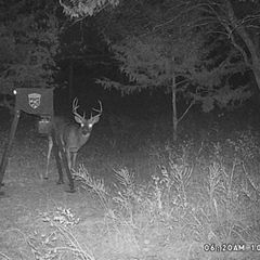 Photo by BR Outfitters