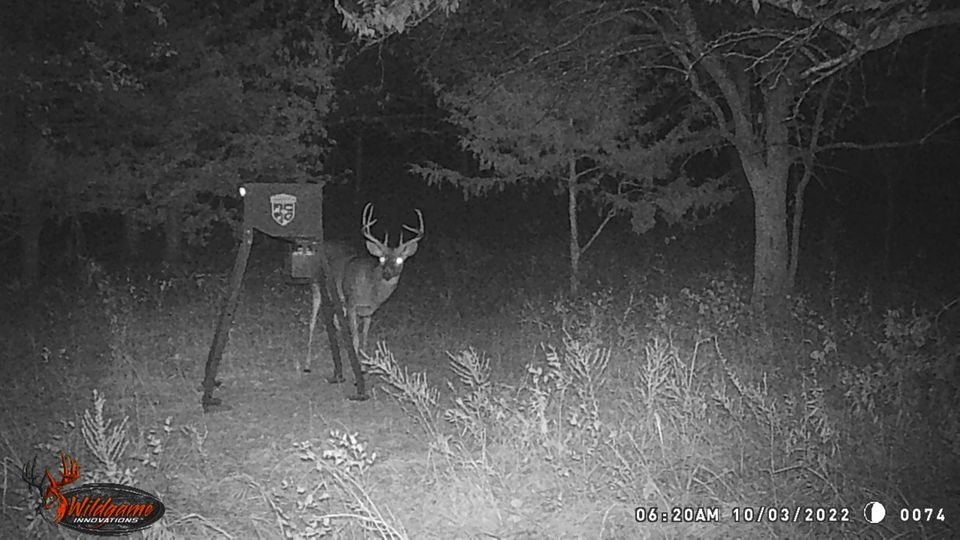 Enlarged photo by BR Outfitters