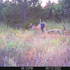 Photo by BR Outfitters