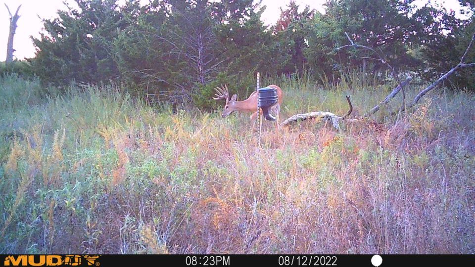 Enlarged photo by BR Outfitters