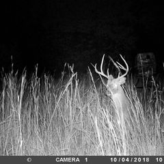 Photo by BR Outfitters