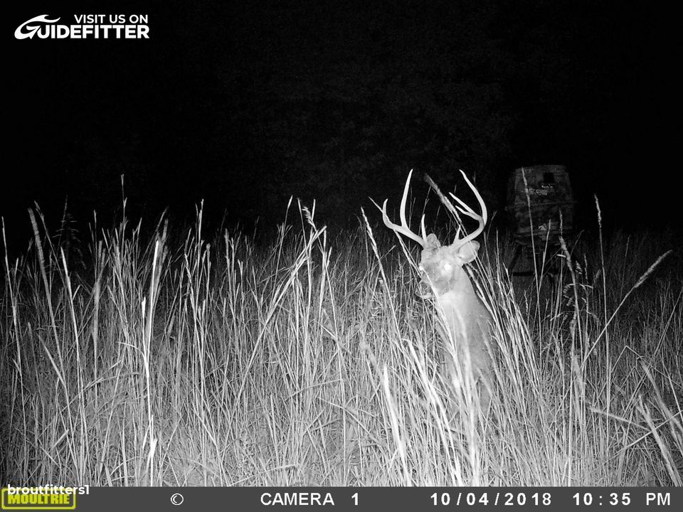 Enlarged photo by BR Outfitters