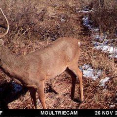 Photo by BR Outfitters