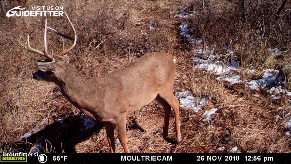 Enlarged photo by BR Outfitters