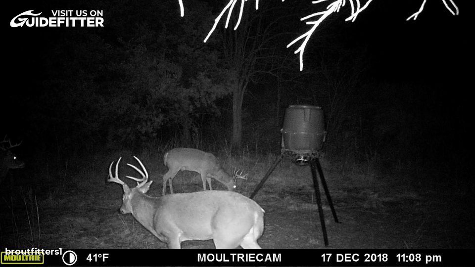 Enlarged photo by BR Outfitters