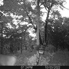 Photo by BR Outfitters