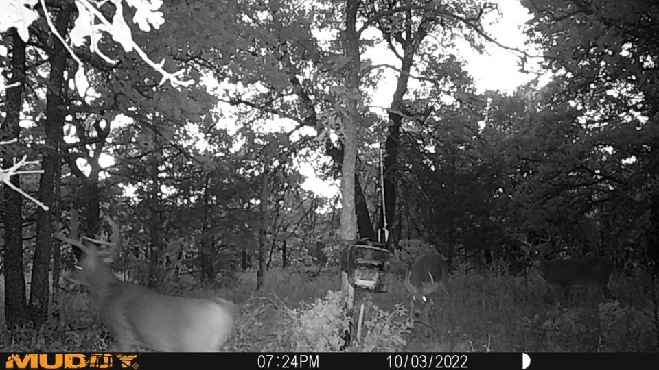 Enlarged photo by BR Outfitters