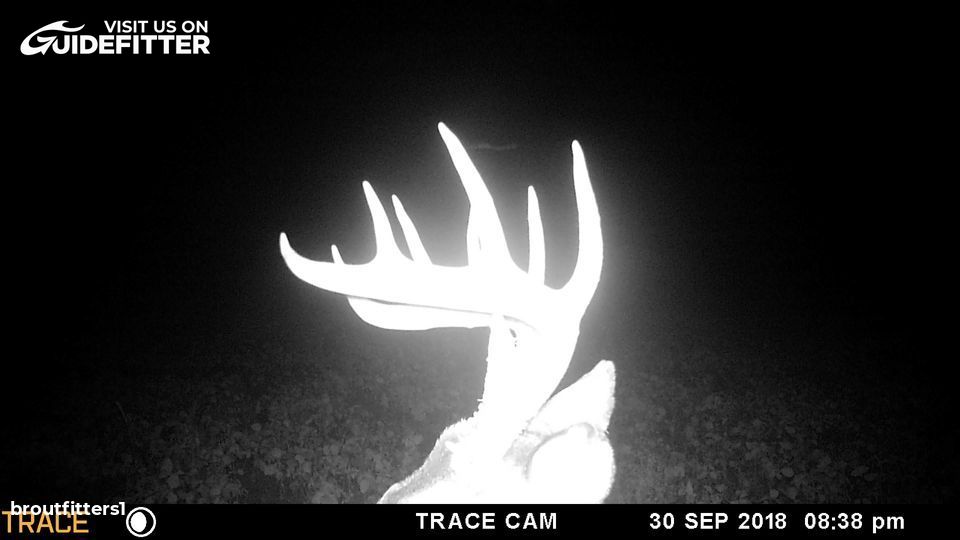 Enlarged photo by BR Outfitters