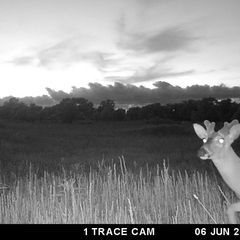 Photo by BR Outfitters