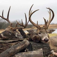 Photo by BR Outfitters