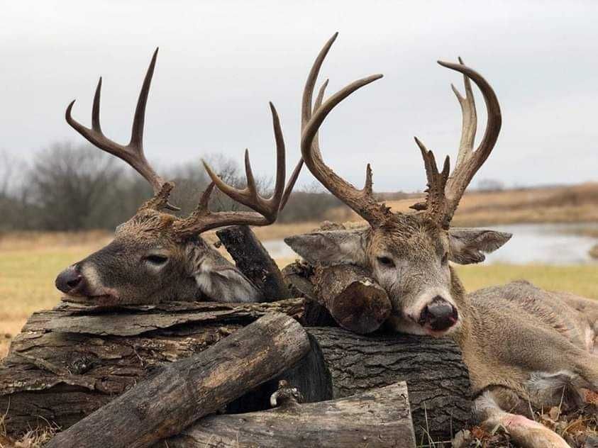 Enlarged photo by BR Outfitters