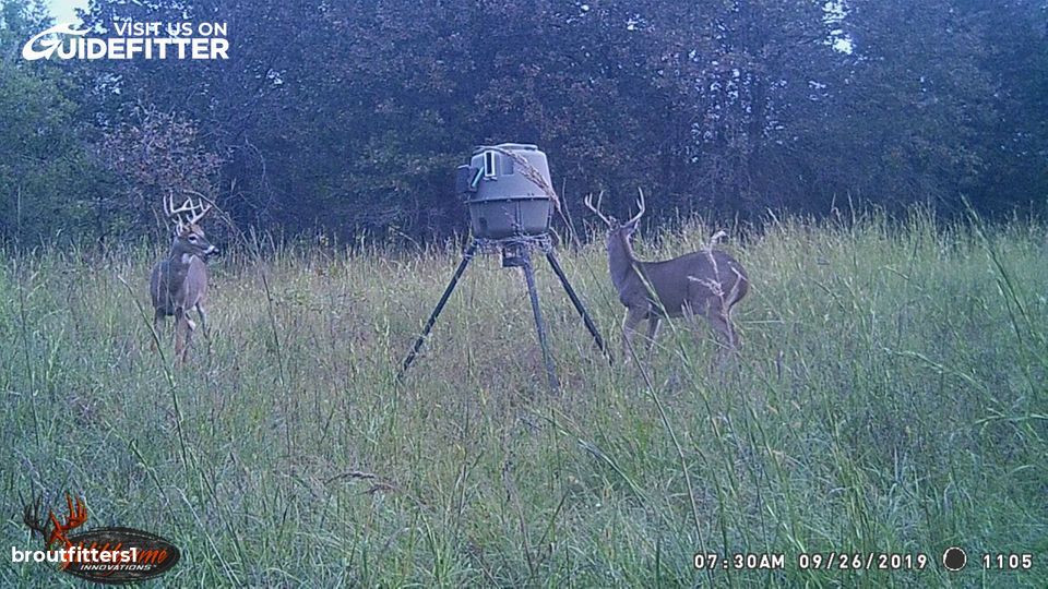 Enlarged photo by BR Outfitters