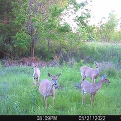 Photo by BR Outfitters