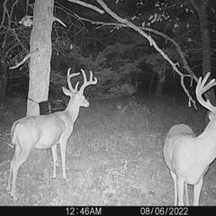 Photo by BR Outfitters