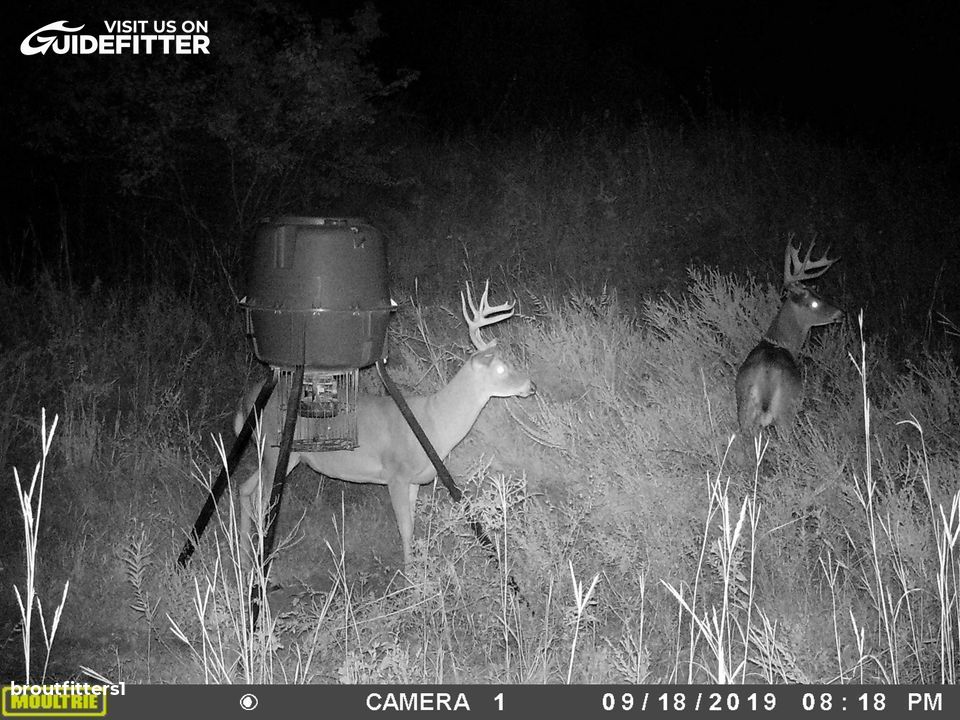 Enlarged photo by BR Outfitters