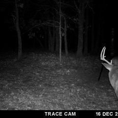 Photo by BR Outfitters