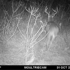 Photo by BR Outfitters