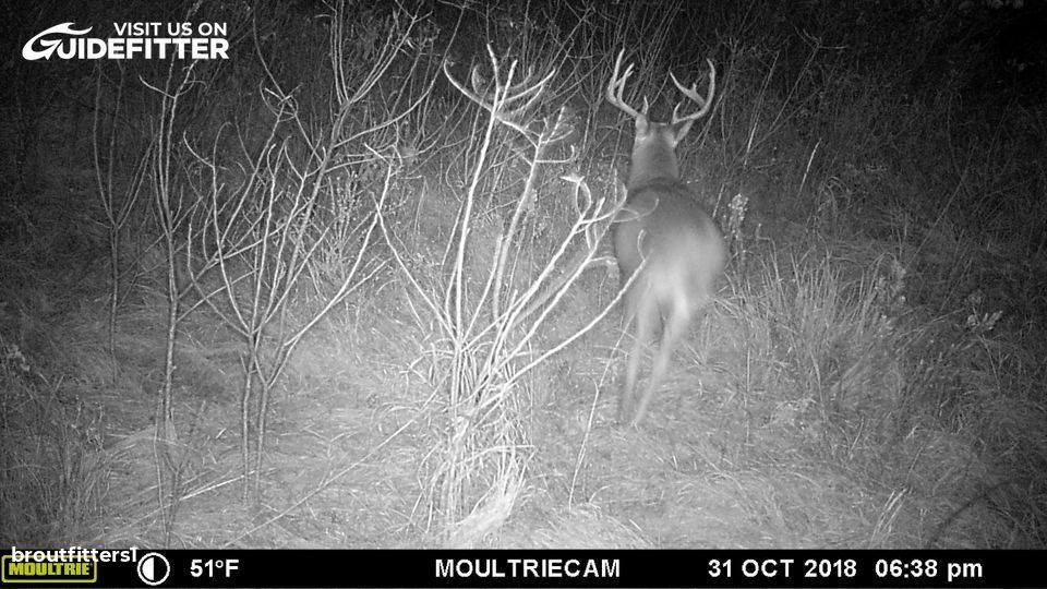 Enlarged photo by BR Outfitters