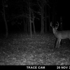 Photo by BR Outfitters